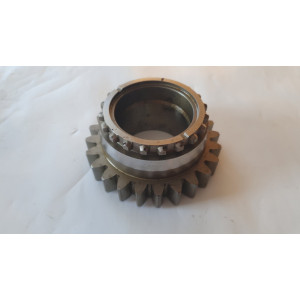 Шестерня вала первинного КПП (Z=24) МТЗ-1025 (МТЗ)