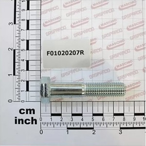 Болт М14х2х70 (8.8) ZN (вир-во Gaspardo)