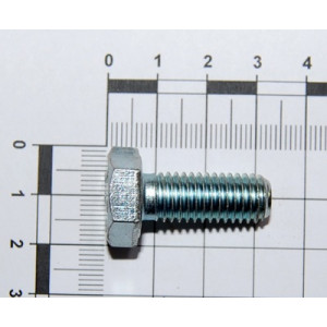 Болт М10х1.5х25 ZN (8.8) (вир-во Gaspardo)