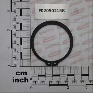 Кільце стопорне зовнішнє 55х2 (вир-во Gaspardo)