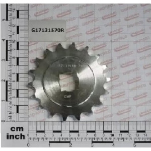 Зірочка (4-гран.20х20) (Z=18 , t=15.875/10B-1) (вир-во Gaspardo)