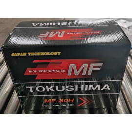 Акумулятор стартерний КЛЕМИ по ЦЕНТРУ (необслугов. 24,6кг) 6СТ-100 (EN 940/CCA 1000) (326х172х242) (TM TOKUSHIMA Japan)